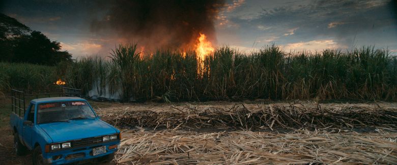 This Changes Everything 2015 <i>This Changes Everything</i> [Bu Her şeyi Değiştirir] (2015) filminden bir kare
©FilmBuff