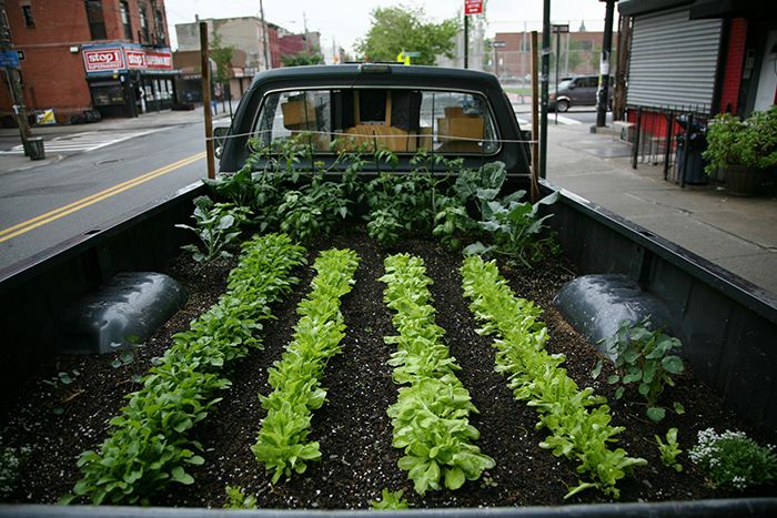 Truck Farm [Kamyonet Tarlası] (2011) filminden bir kare <i>Truck Farm</i> [Kamyonet Tarlası] (2011) filminden bir kare ©Bullfrog Films